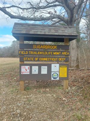 sugarbrook